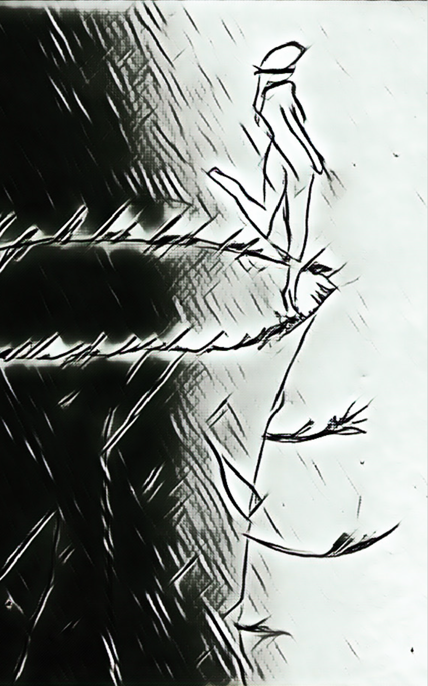 The Fool's Journey, A Booklet of Haikus