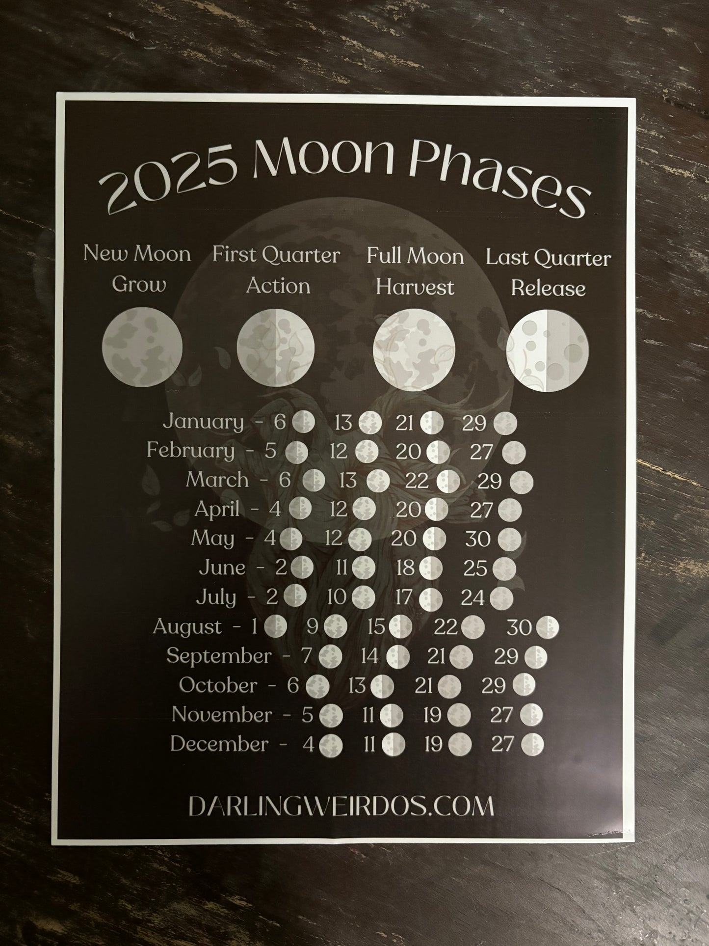 2025 Moon Phase Poster